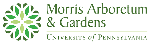 Morris Arboretum